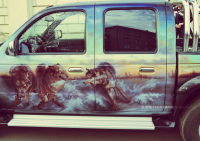 волки аэрография