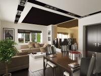 House in modern style (livingroom 1)