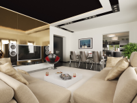 House in modern style (livingroom 2)