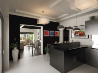 House in modern style (kitchen 2)