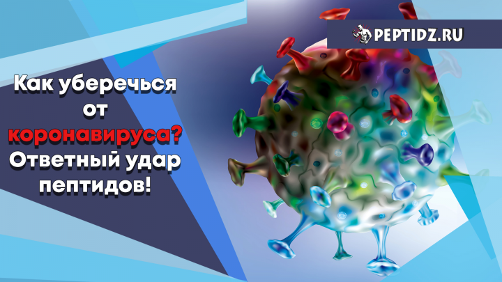 Видеомонтаж