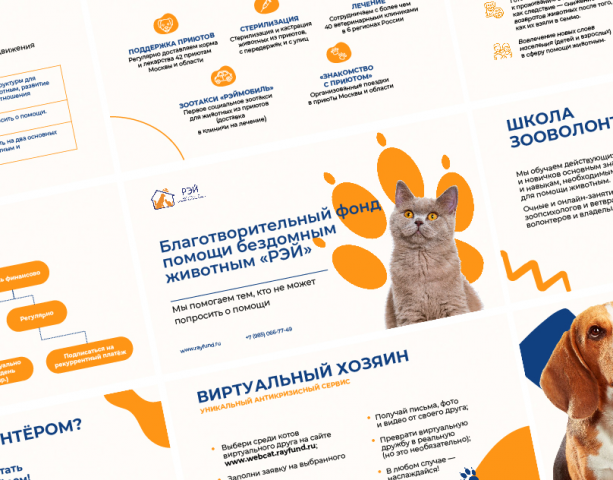 Презентация для Фонда Рэй
