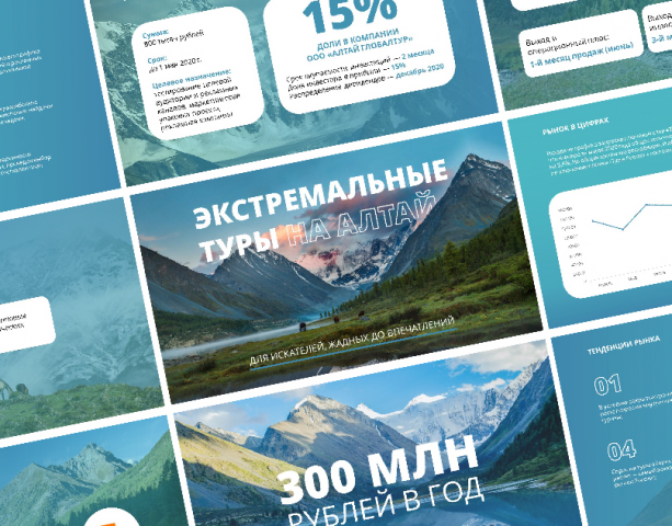 Презентация для инвесторов