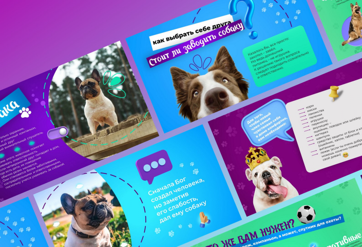 Уход за собаками