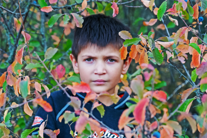 Портрет мальчика