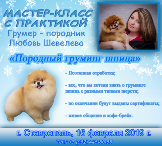 Реклама мастер класса