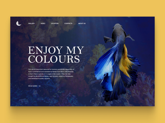 Maritime museum Design Concept
