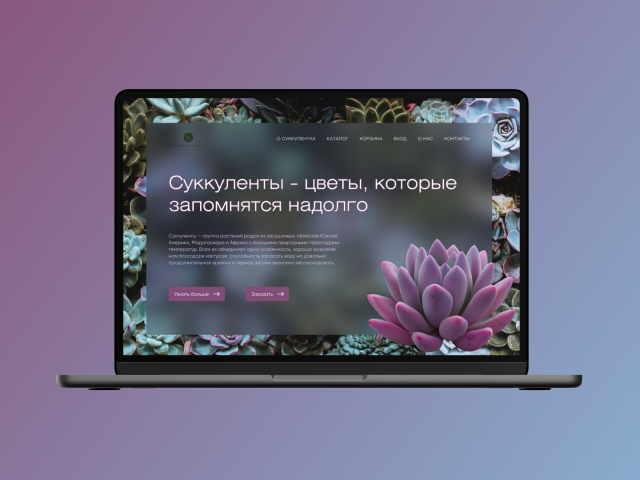 Succulents Design Concept
