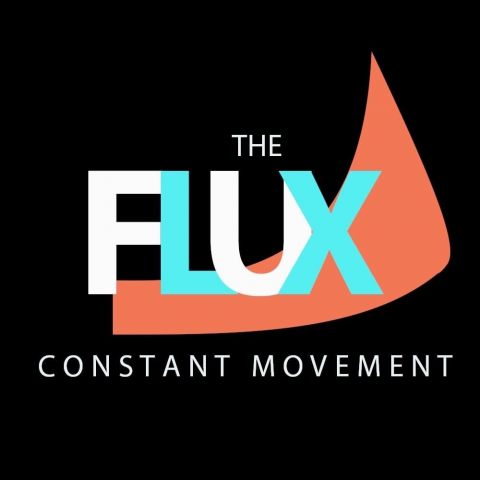 Логотип THE FLUX
