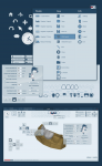 iOS Application Interface