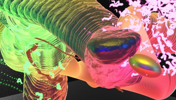 Обзорная статья «3D-моделирование в цифровом искусстве»