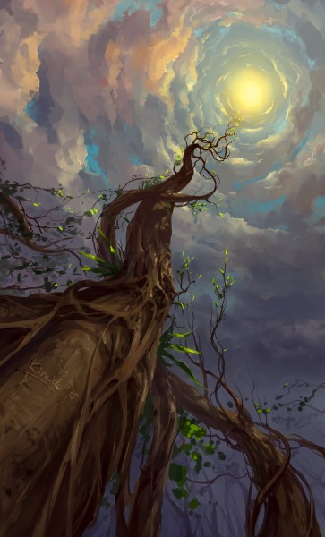pic4356444.jpg