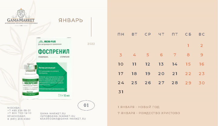 Календарь 2022 год для