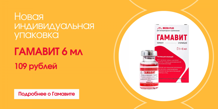 Горизонтальный баннер