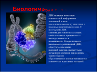 Работа 2122436