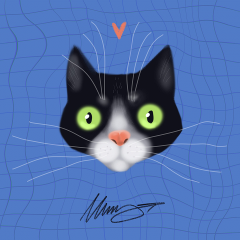 Котик