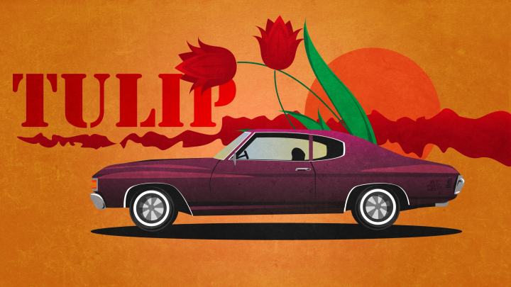 Tulip