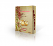 Работа 2195286