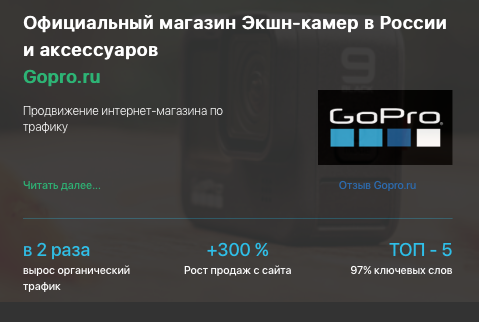 Кейс продвижения интернет-магазина видеотехники Gopro.ru
