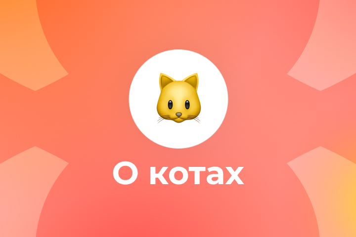 Карточки о котах