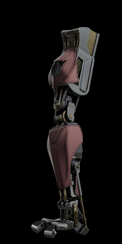 Robotic Leg