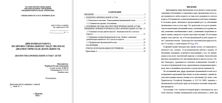 Дипломная работа