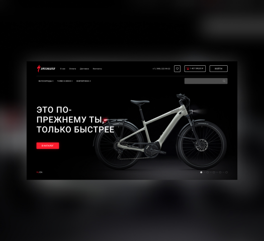 Разработка дизайна для интернет магазина