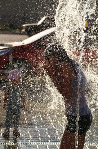 Работа 3329998