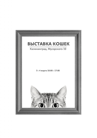 Рекламный макет для выставки кошек