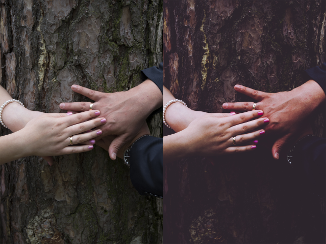 Свадебное фото 1