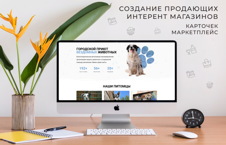 Лендинг - Городской Приют Бездомных Животных