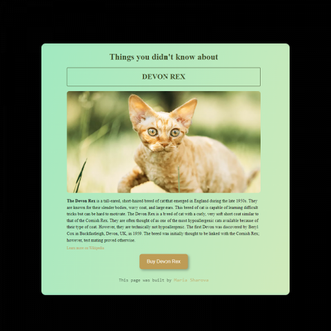 Devon Rex