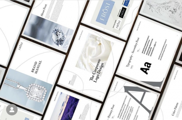 Frost Business Plan and Brand Identity