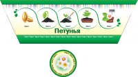 Дизайн этикетки для цветов