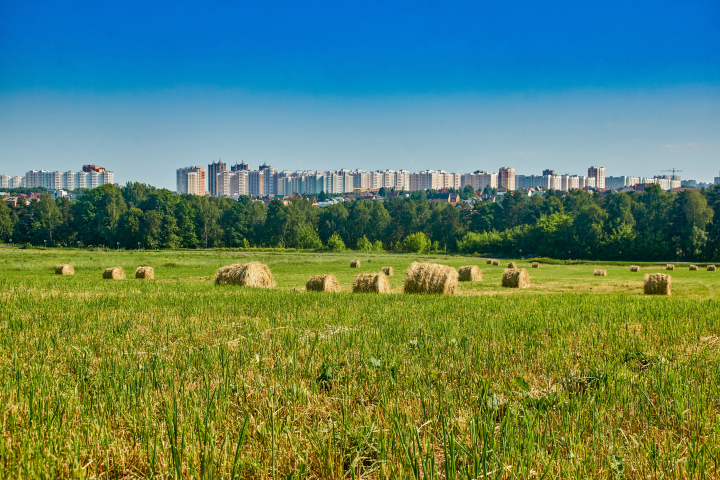 Работа 3718115