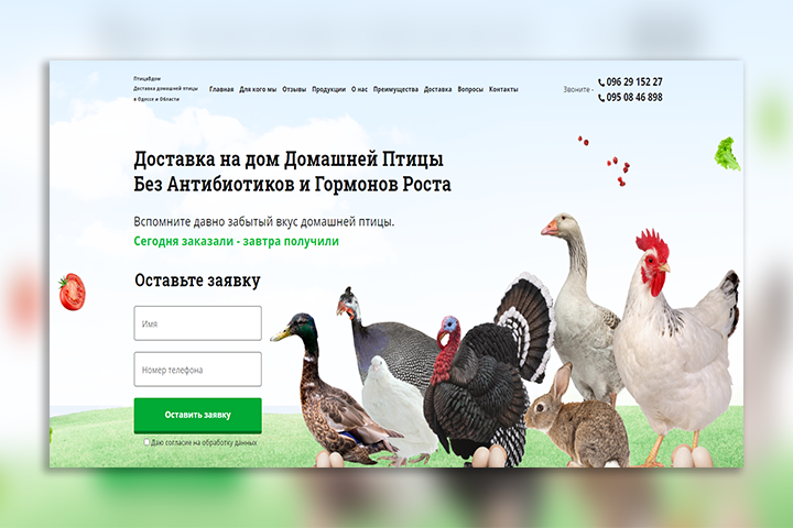 ПтицаВДом