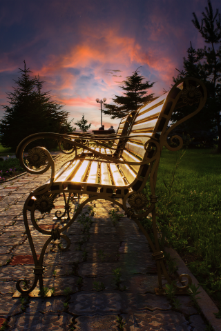 закат в нашем парке