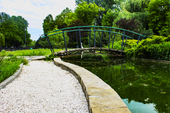 городской пруд