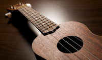 Acoustic & Fun Ukulele