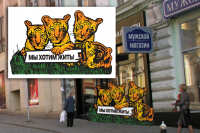 проект для компании "Wwf" - спасем тигра