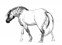 Работа 3002295