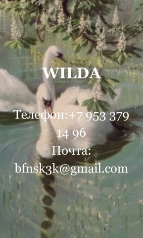 WIldan