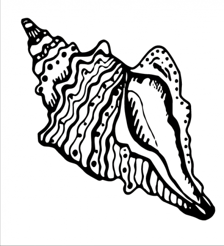 Линейно-пятновой рисунок ракушка