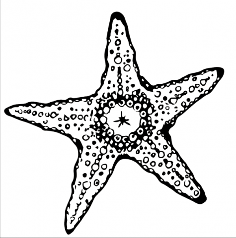 Линейно-пятновой рисунок звезда