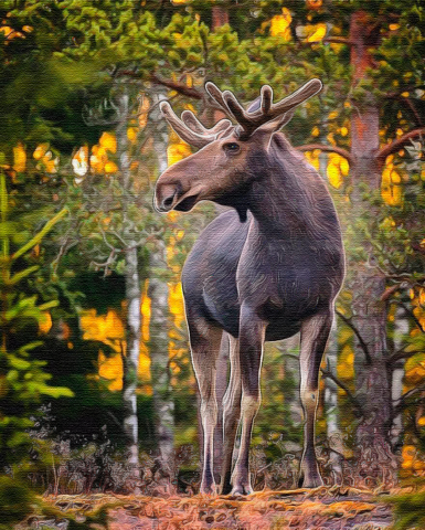 Обработка фото под картину