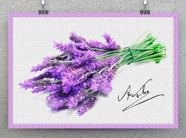 Рисунок из фото "Цветы"