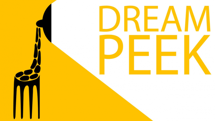 Фирменный стиль для компании "Dream Peek"