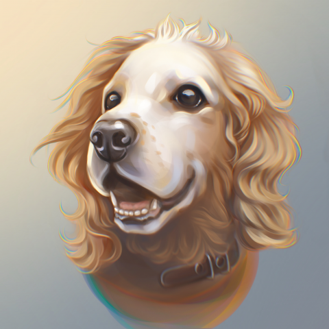 Портрет собаки