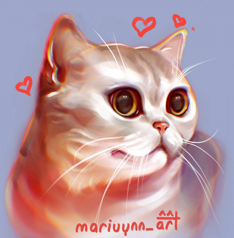 Портрет кошки