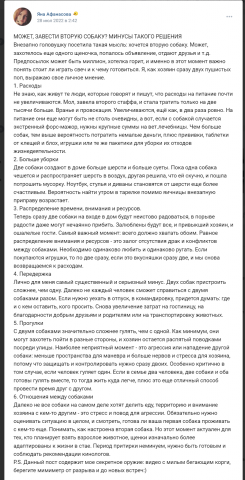 Может, завести вторую собаку? Минусы такого решения